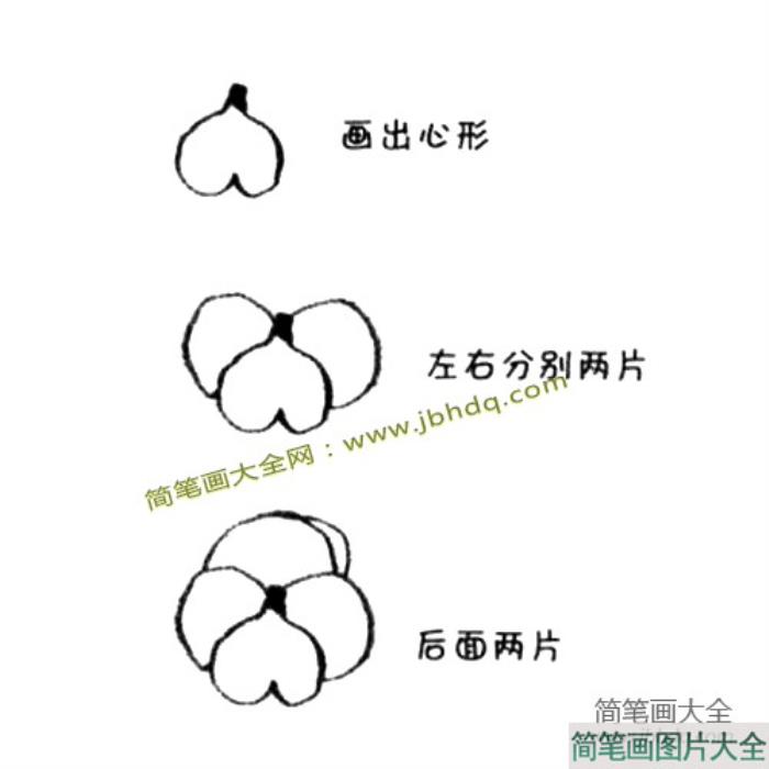 三色堇简笔画教程