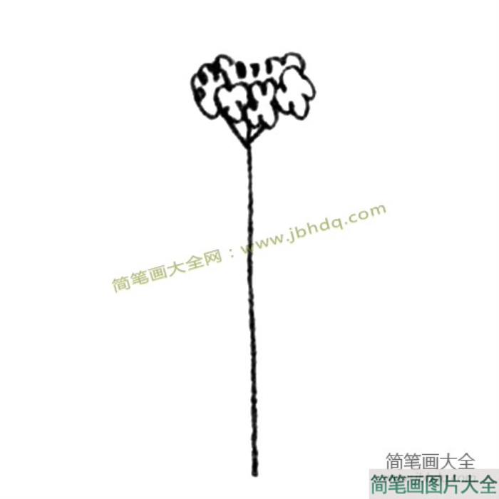 油菜花简笔画教程  第2张