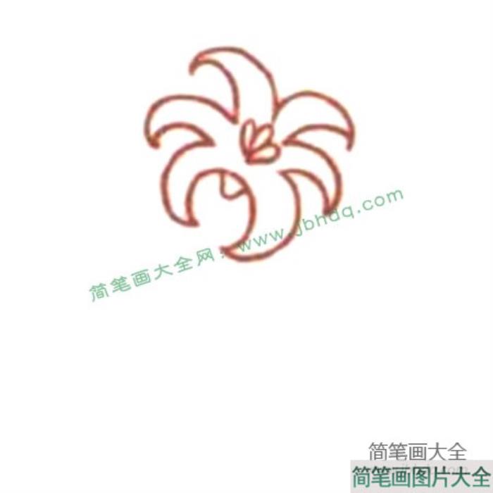 Q版波斯菊简笔画教程  第2张