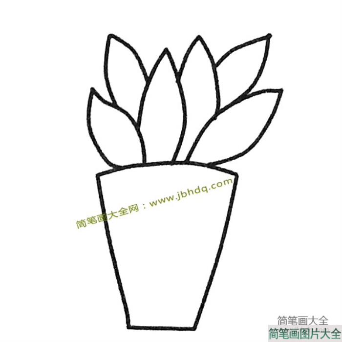 一组简单的多肉植物简笔画图片  第5张