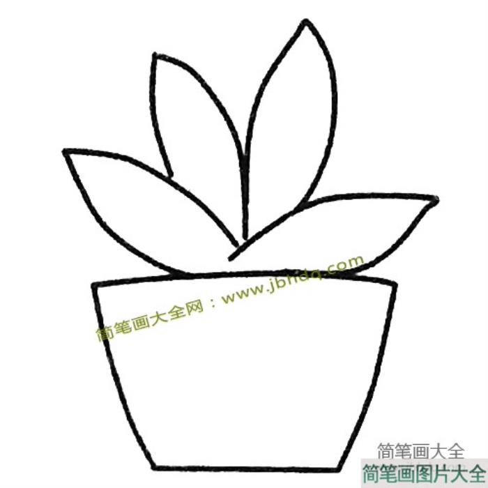 简单的多肉植物简笔画教程  第4张