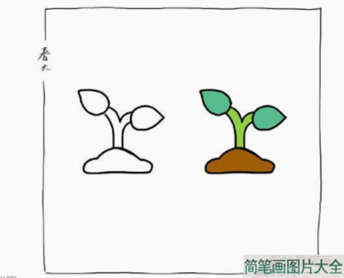 小树发芽简笔画  第1张