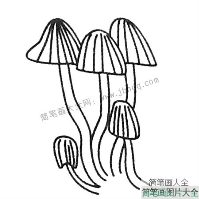 简单的蘑菇简笔画图片  第1张