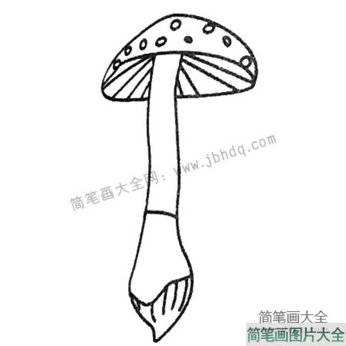 漂亮的蘑菇简笔画大全  第2张