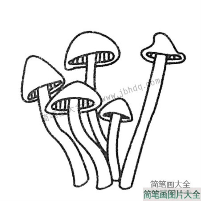 漂亮的蘑菇简笔画大全  第3张