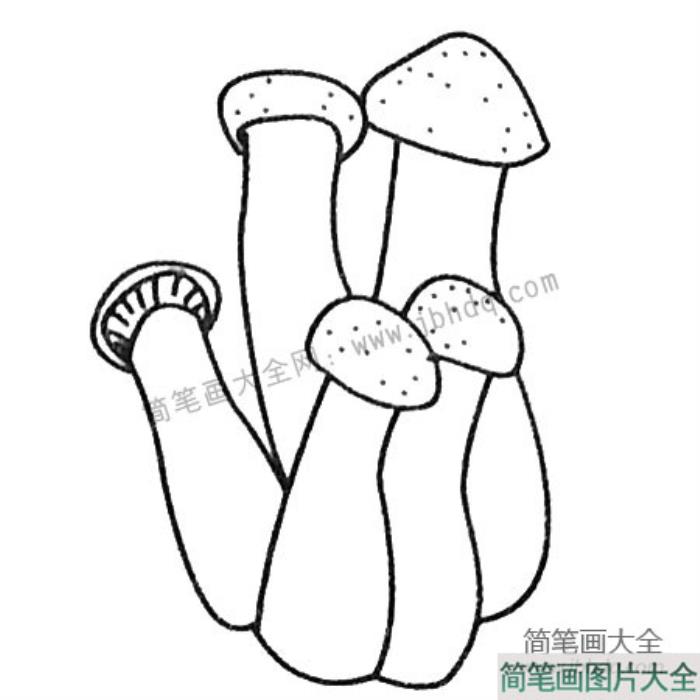 漂亮的蘑菇简笔画大全  第4张