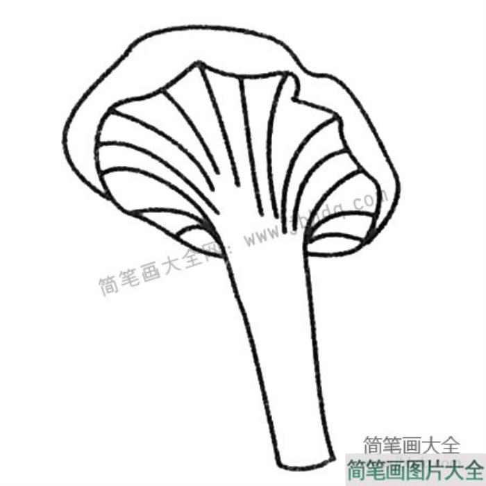 蘑菇简笔画大全  第4张