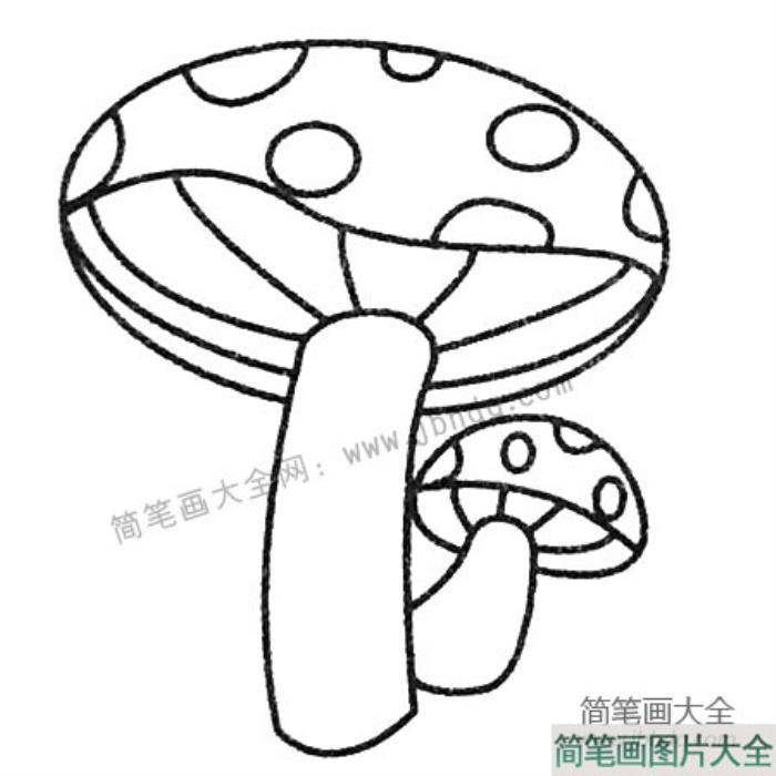 蘑菇简笔画图片大全  第1张