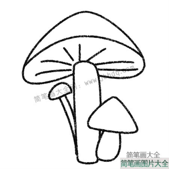 蘑菇简笔画图片大全  第3张