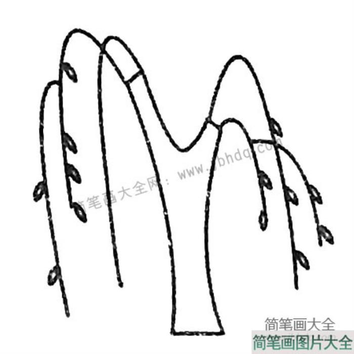 柳树简笔画大全及画法步骤  第4张