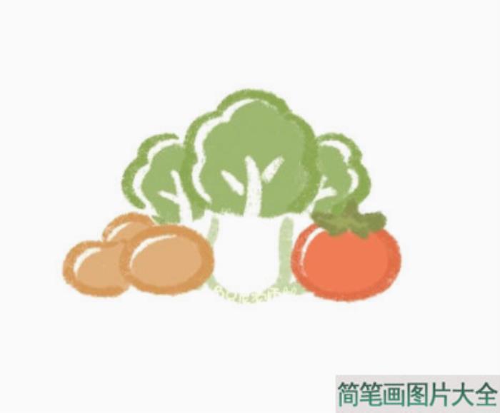 新鲜蔬菜简笔画  第3张