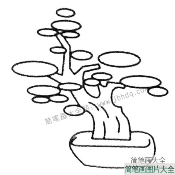 小树盆景简笔画图片  第2张