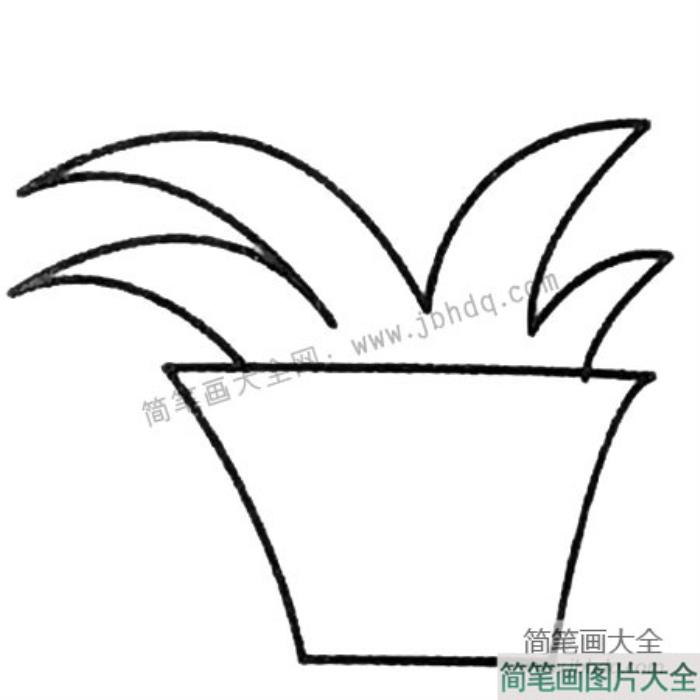 绿叶植物盆景简笔画图片  第2张