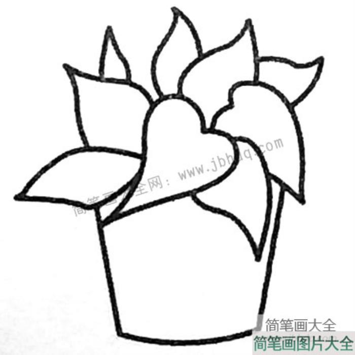 绿叶植物盆景简笔画图片  第3张