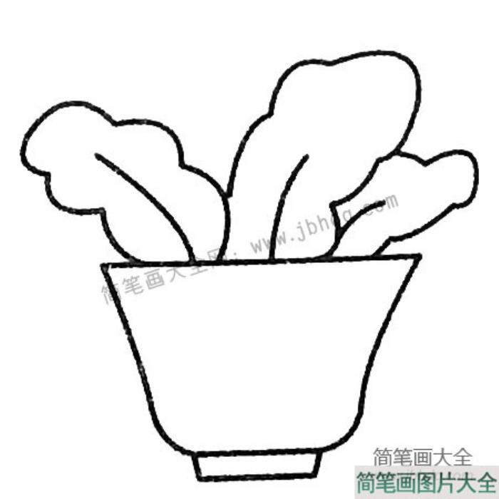 绿叶植物盆景简笔画图片  第4张