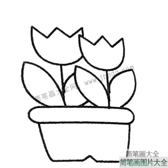 漂亮的花朵盆景简笔画大全  第3张