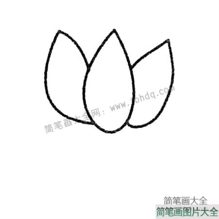 荷花简笔画大全及画法步骤  第2张