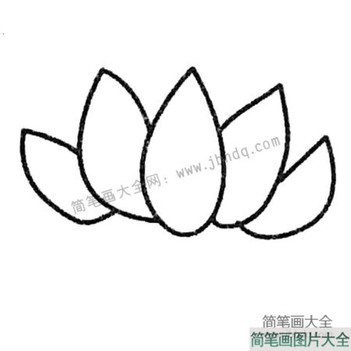 荷花简笔画大全及画法步骤  第3张