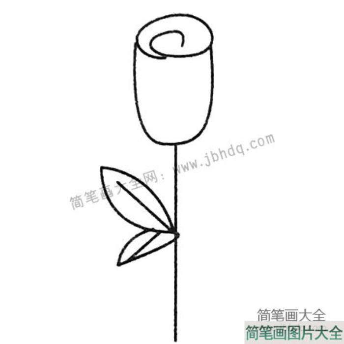 玫瑰花简笔画大全及画法步骤  第4张