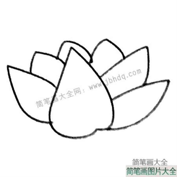 多肉植物简笔画大全及画法步骤  第4张