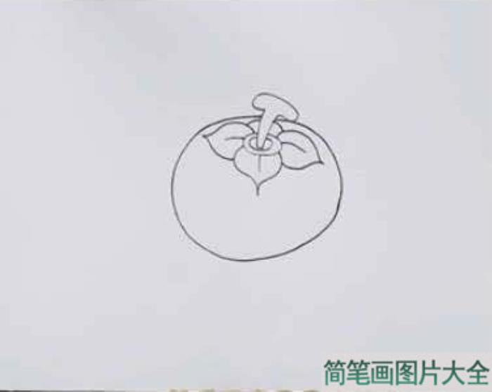 柿子简笔画  第2张