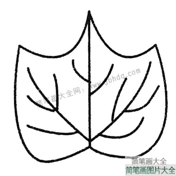 漂亮的树叶简笔画大全