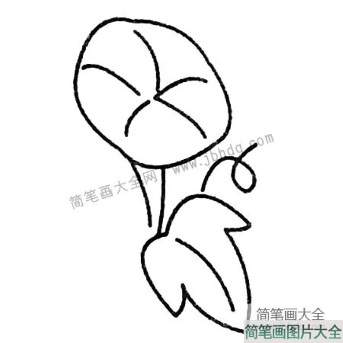 牵牛花简笔画大全及画法步骤  第4张