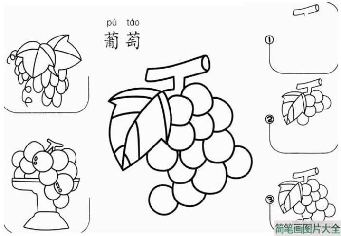 葡萄简笔画