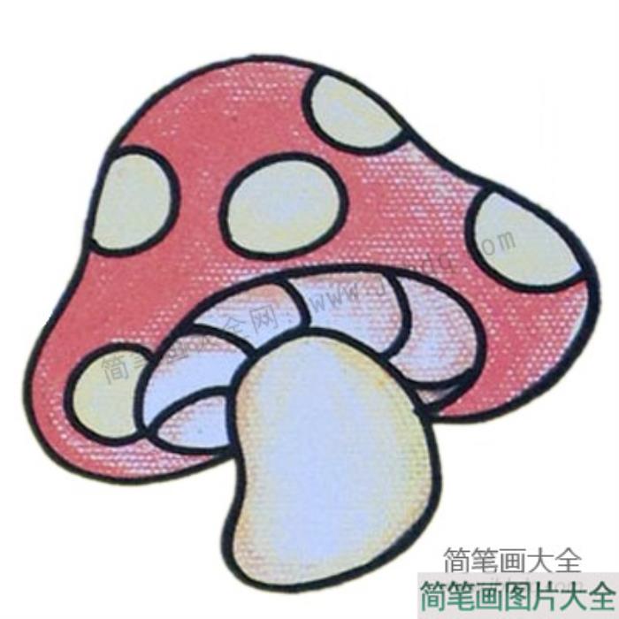 简笔画终极篇_蘑菇  第5张