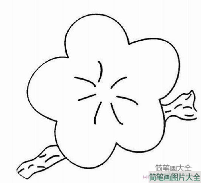 手绘梅花简笔画