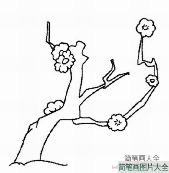 手绘梅花简笔画  第4张