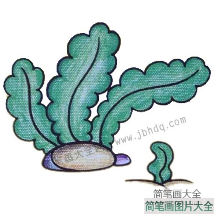 初级简笔画_水草  第5张