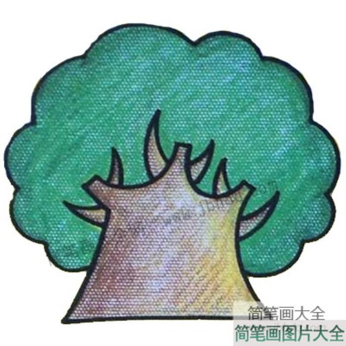 初级简笔画_大树  第5张