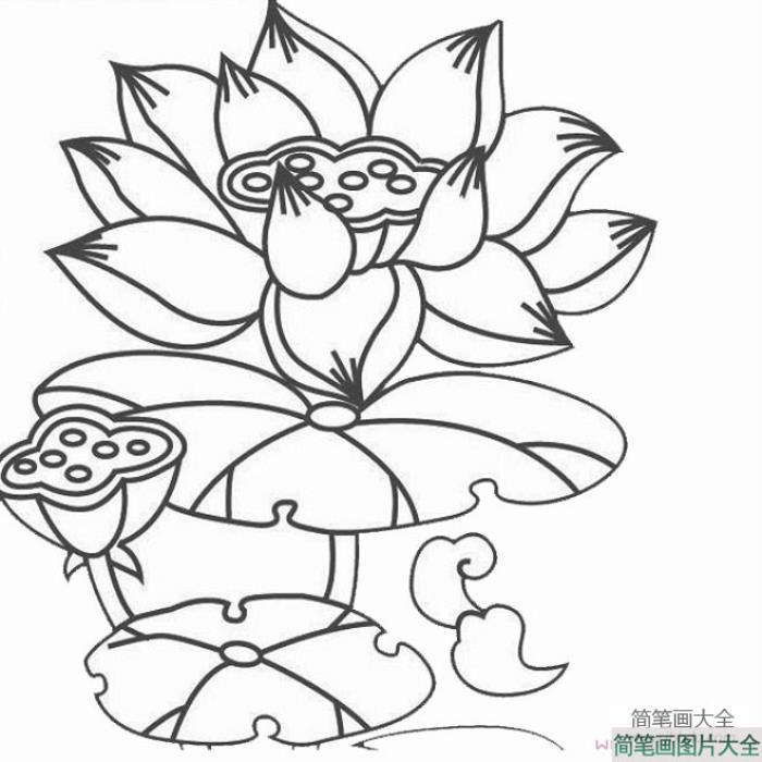 卡通荷花莲蓬简笔画