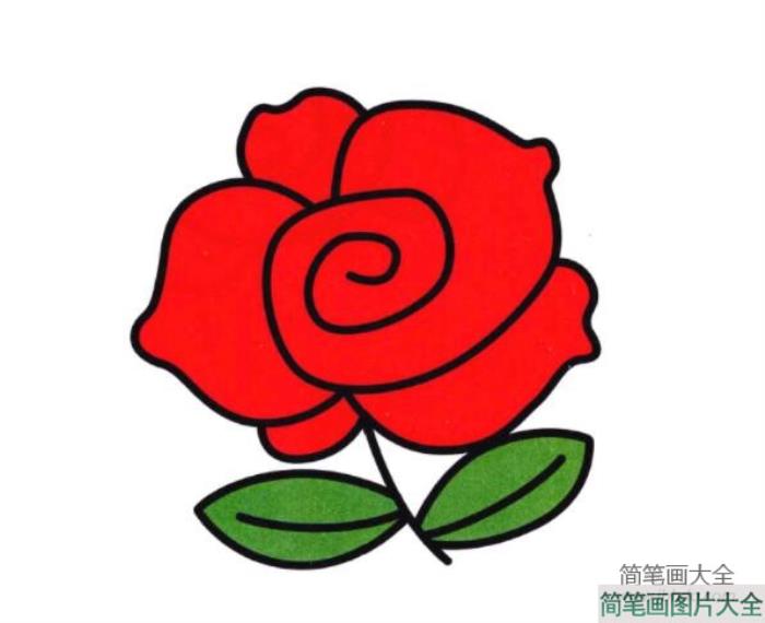 玫瑰花的画法图片彩色