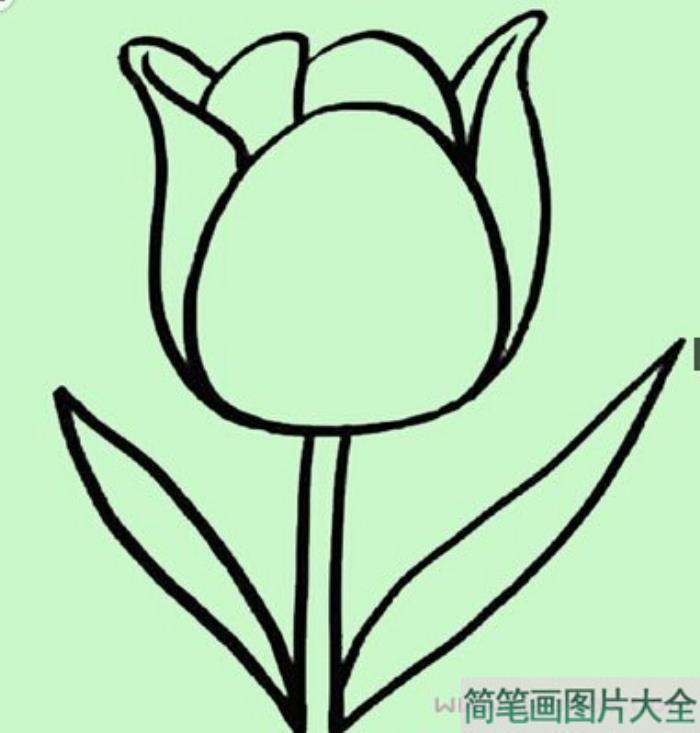 简单漂亮的玫瑰花简笔画  第2张