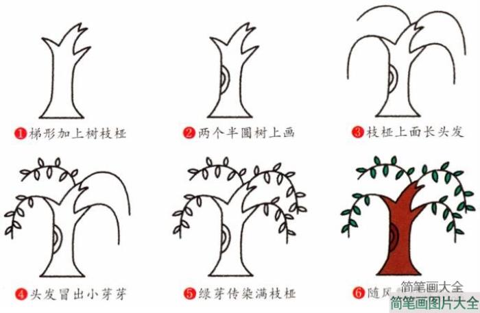 柳树的画法  第2张