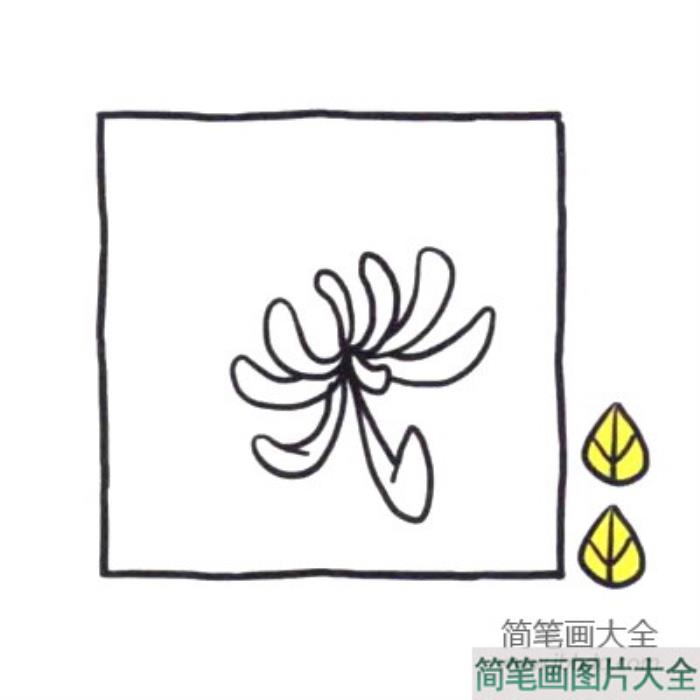 四步画出可爱简笔画_菊花盛开秋天到  第2张