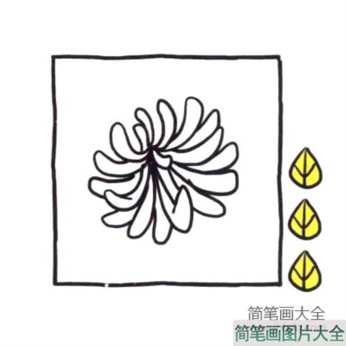 四步画出可爱简笔画_菊花盛开秋天到  第3张