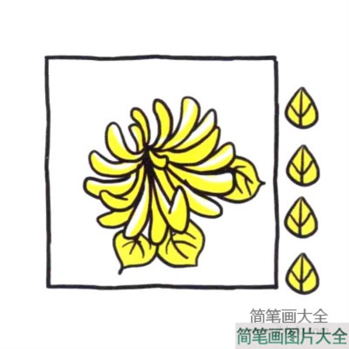 四步画出可爱简笔画_菊花盛开秋天到  第4张