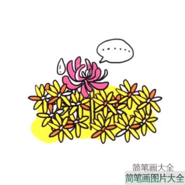 四步画出可爱简笔画_菊花盛开秋天到  第6张