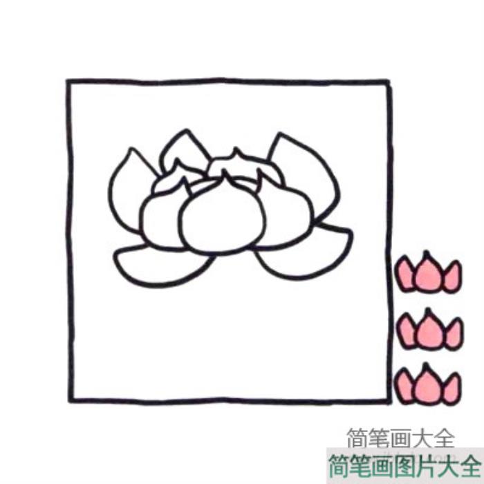 四步画出可爱简笔画_出淤泥而不染的荷花  第3张