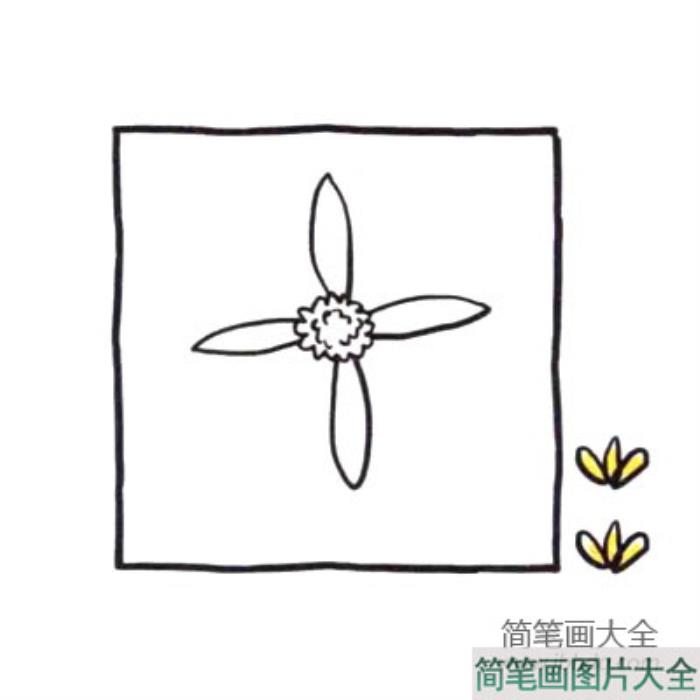 四步画出可爱简笔画_清火明目的菊花  第2张