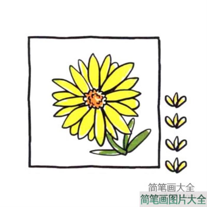 四步画出可爱简笔画_清火明目的菊花  第4张