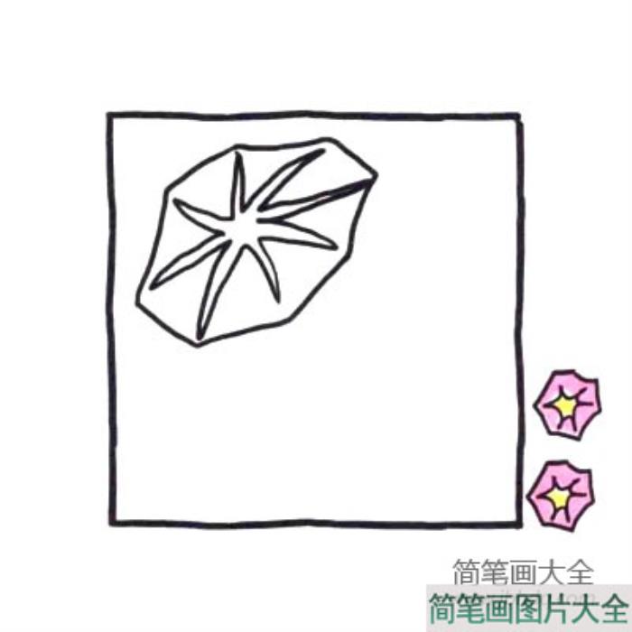 四步画出可爱简笔画_叭叭叭喇叭花  第2张