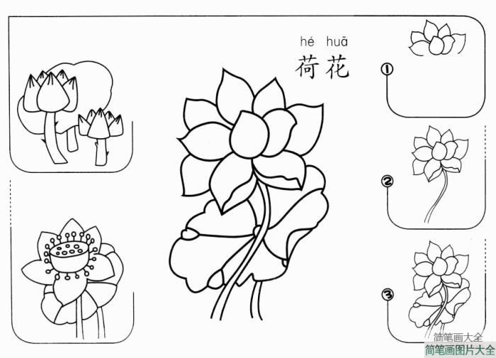 荷花怎么画  第1张