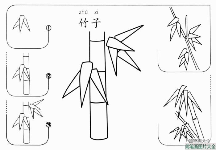 竹子怎么画  第1张