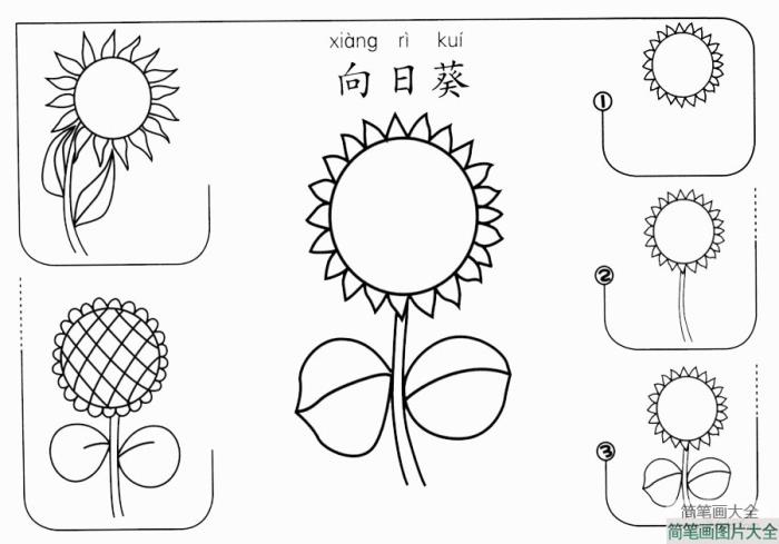 向日葵怎么画