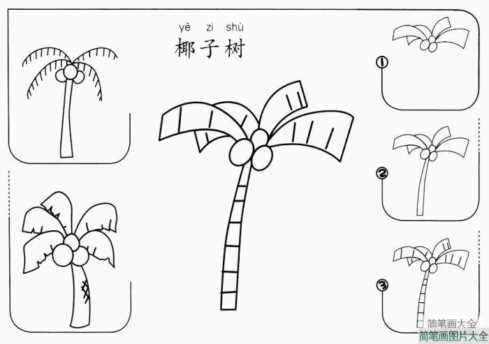 椰子树怎么画  第1张