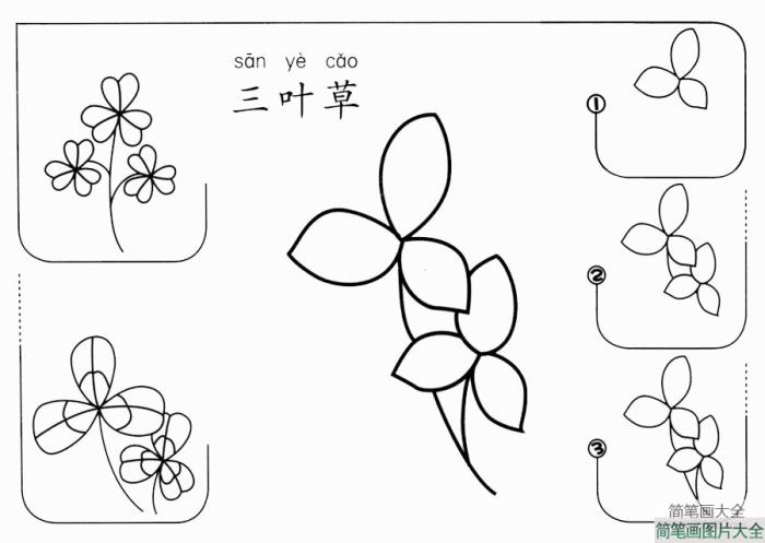 三叶草怎么画  第1张